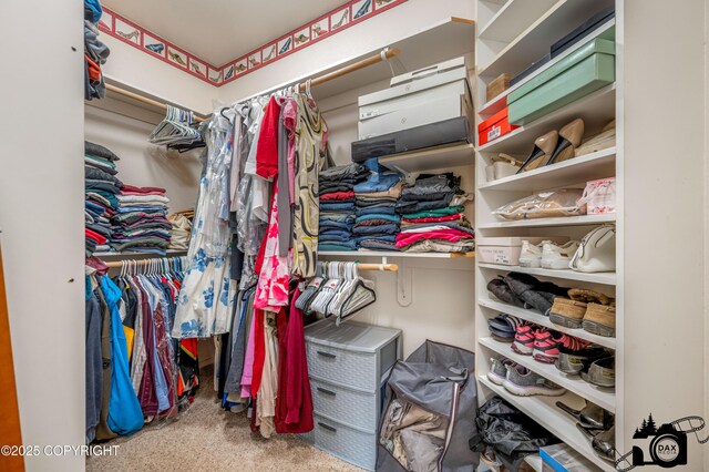 3474 E Wanamingo Dr, Wasilla, AK 99654 - walk in closet with carpet flooring