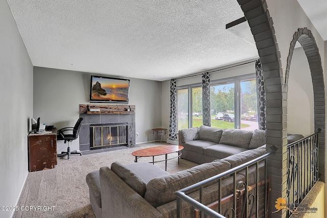 910 S Iris Cir, Palmer, AK 99645 - living area with a glass covered fireplace, a textured ceiling, and carpet