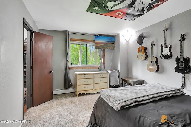 910 S Iris Cir, Palmer, AK 99645 - bedroom with a baseboard radiator, light carpet, and a textured wall