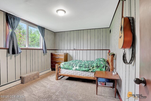 910 S Iris Cir, Palmer, AK 99645 - carpeted bedroom featuring baseboard heating and wooden walls