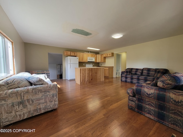 63550 Jessica G Ct, Ninilchik, AK 99639 - living room with dark wood-style floors