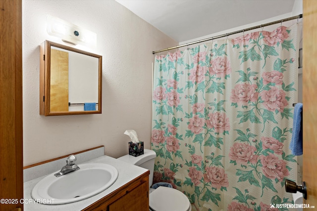 7550 E Fireweed Rd, Palmer, AK 99645 - bathroom featuring vanity, toilet, and curtained shower