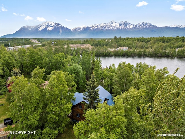 7550 E Fireweed Rd, Palmer, AK 99645 - bird's eye view of a water and mountain view and a forest