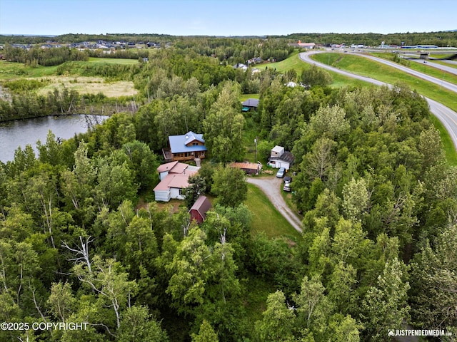 7550 E Fireweed Rd, Palmer, AK 99645 - bird's eye view of a large body of water and a forest