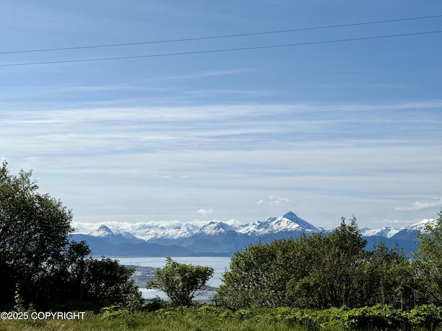 200 Skyline Dr, Homer, AK 99603