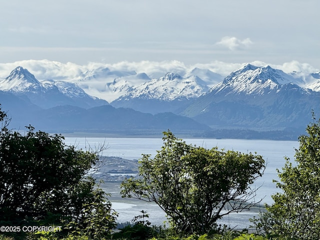 200 Skyline Dr, Homer, AK 99603