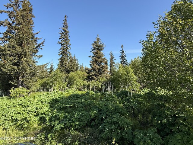 200 Skyline Dr, Homer, AK 99603
