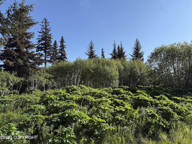 200 Skyline Dr, Homer, AK 99603
