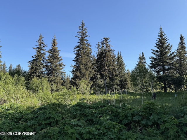200 Skyline Dr, Homer, AK 99603