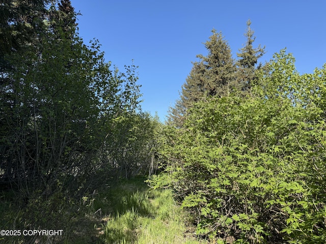200 Skyline Dr, Homer, AK 99603
