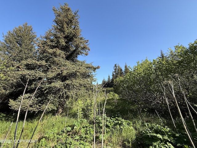 200 Skyline Dr, Homer, AK 99603
