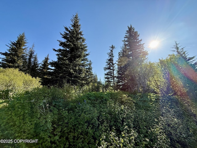 200 Skyline Dr, Homer, AK 99603