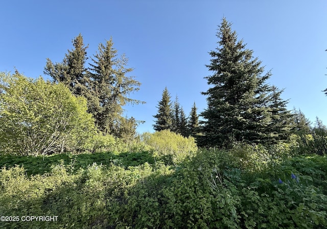 200 Skyline Dr, Homer, AK 99603
