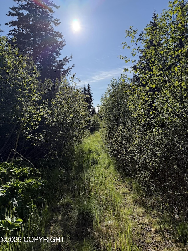 200 Skyline Dr, Homer, AK 99603