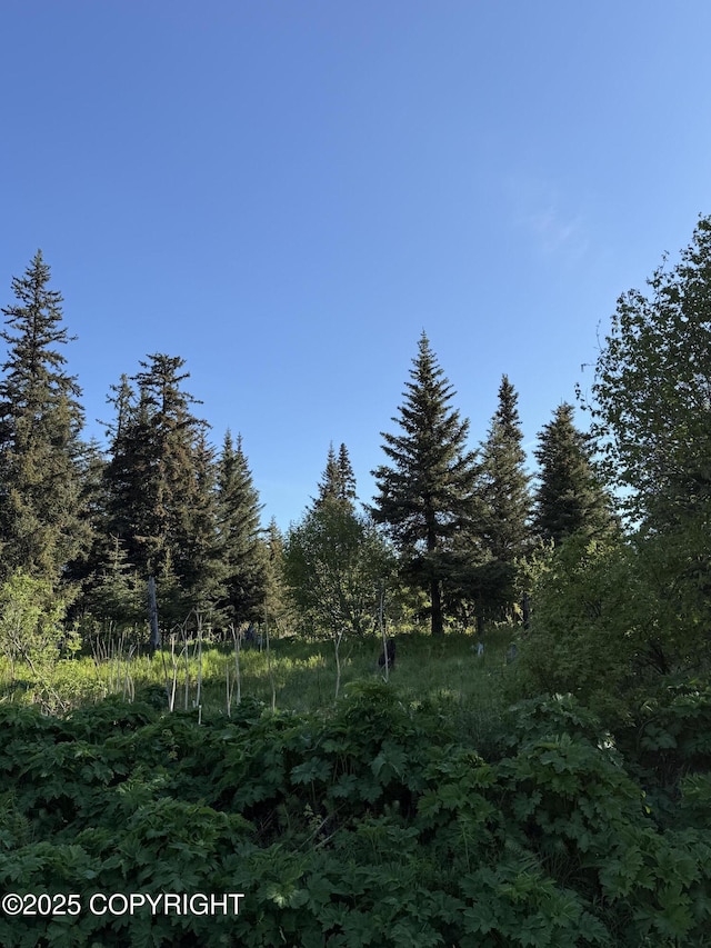 200 Skyline Dr, Homer, AK 99603