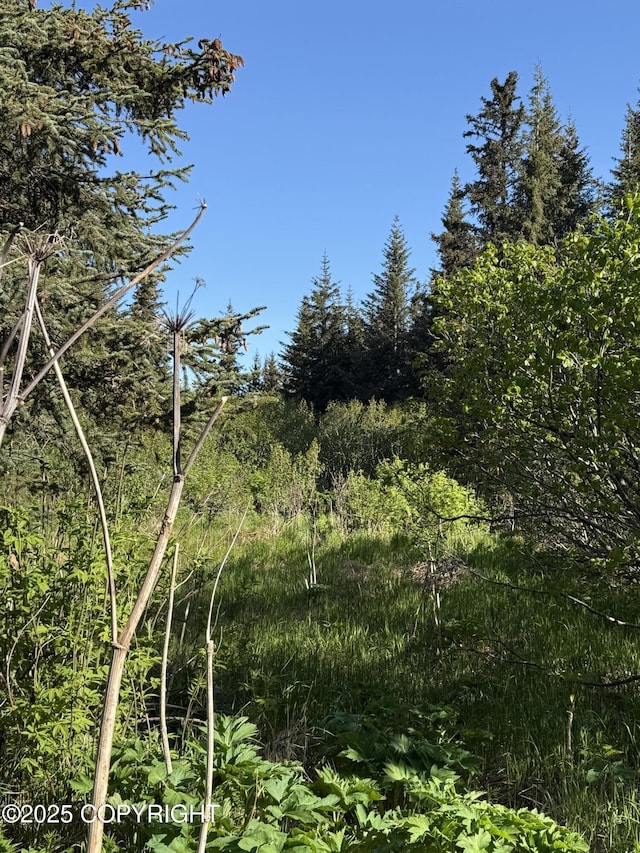 200 Skyline Dr, Homer, AK 99603