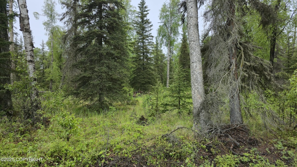 36745 Virginia Dr, Kenai, AK 99611