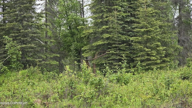 36675 Virginia Dr, Kenai, AK 99611