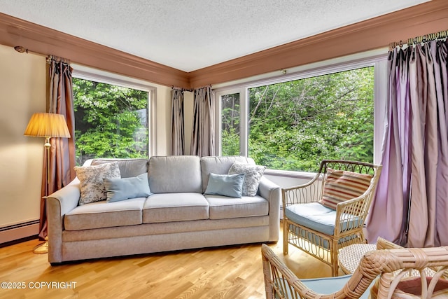 836 O Pl, Anchorage, AK 99501 - living room featuring a textured ceiling, plenty of natural light, light wood finished floors, and a baseboard heating unit