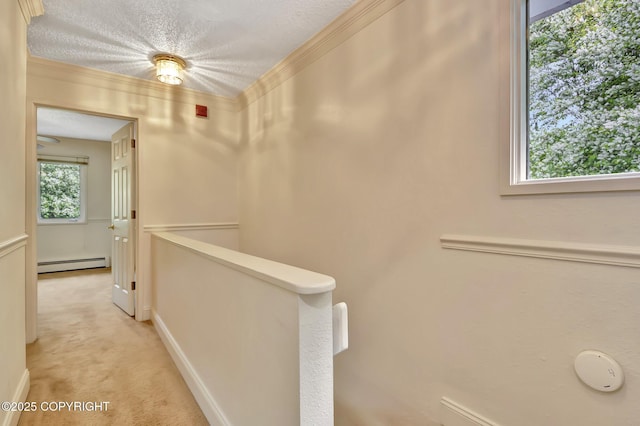 836 O Pl, Anchorage, AK 99501 - hallway featuring a baseboard heating unit, light colored carpet, an upstairs landing, ornamental molding, and baseboards