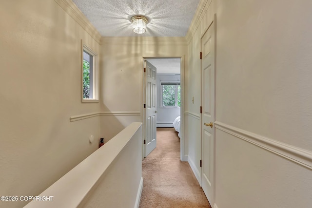 836 O Pl, Anchorage, AK 99501 - corridor featuring light colored carpet, baseboard heating, a textured ceiling, and crown molding