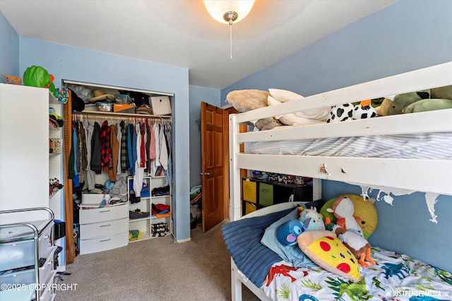 2020 N Kentucky Derby Dr, Palmer, AK 99645 - bedroom with carpet floors and a closet