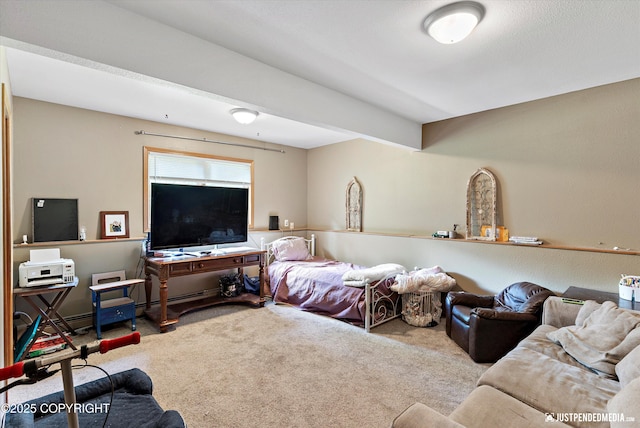 2020 N Kentucky Derby Dr, Palmer, AK 99645 - view of carpeted living room