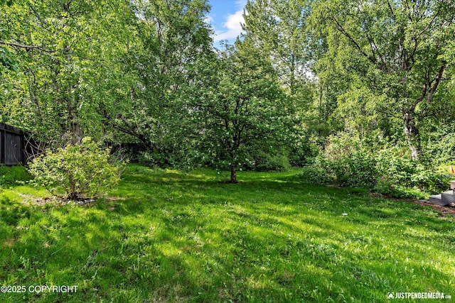 2020 N Kentucky Derby Dr, Palmer, AK 99645 - view of green lawn