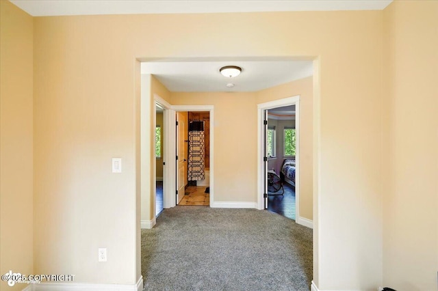 4920 W Fairview Loop, Wasilla, AK 99654 - corridor featuring carpet flooring and baseboards