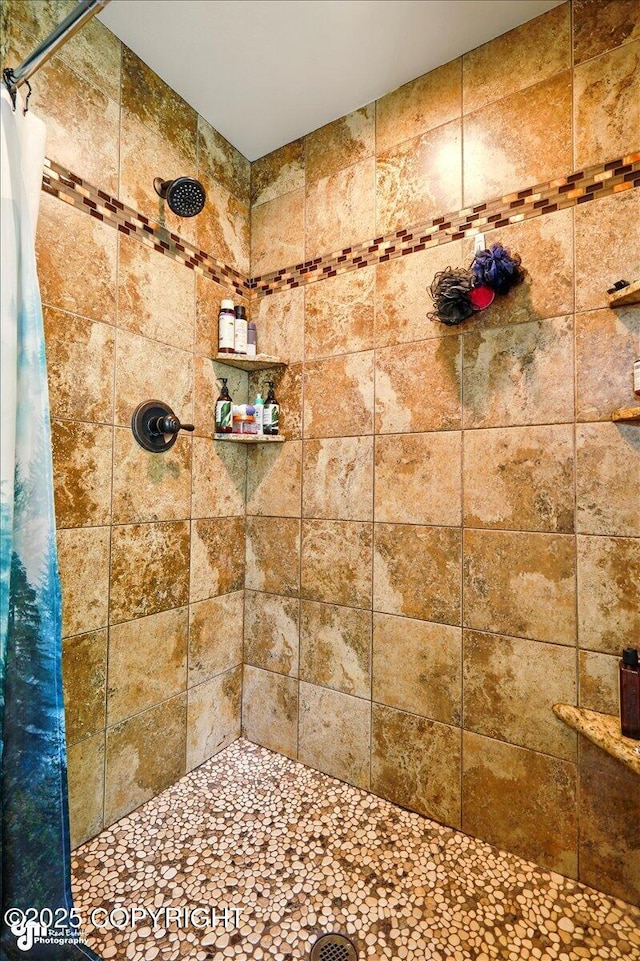 4920 W Fairview Loop, Wasilla, AK 99654 - bathroom featuring tiled shower