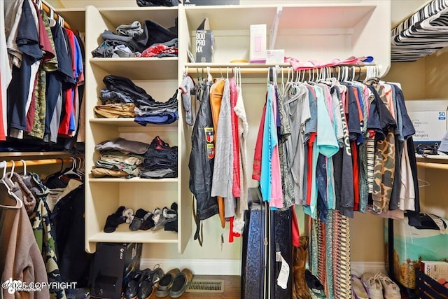 4920 W Fairview Loop, Wasilla, AK 99654 - view of walk in closet