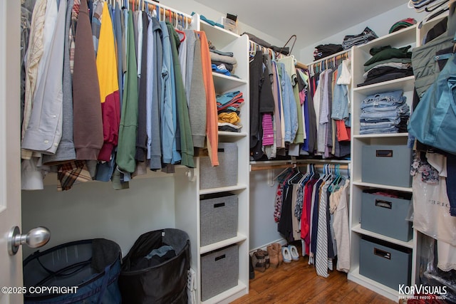 2690 E Tamarak Ave, Wasilla, AK 99654 - walk in closet with wood finished floors