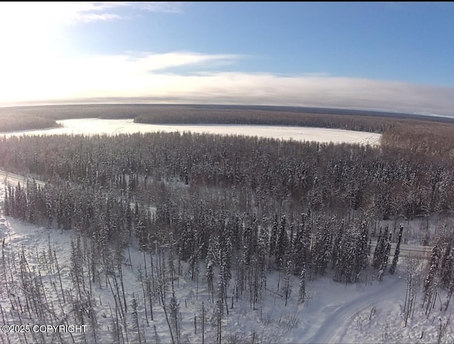 14617 N Crystal Lake Rd, Willow, AK 99688 - view of snowy aerial view