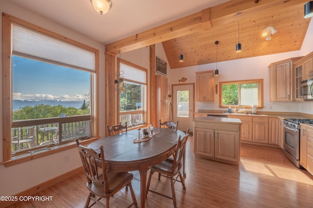 2032 Horizon Ct, Homer, AK 99603 - dining space featuring light wood-type flooring