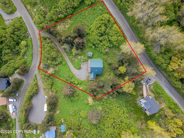 2032 Horizon Ct, Homer, AK 99603 - aerial view of property and surrounding area with property parcel outlined