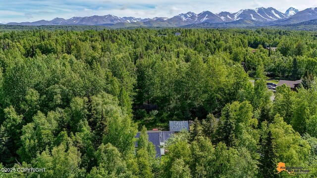 3151 E 151st Ave, Anchorage, AK 99516 - photo 14