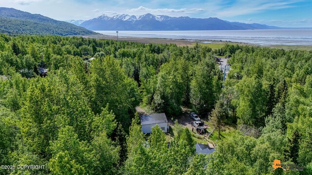 3151 E 151st Ave, Anchorage, AK 99516 - photo 16
