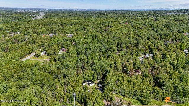 3151 E 151st Ave, Anchorage, AK 99516 - photo 17