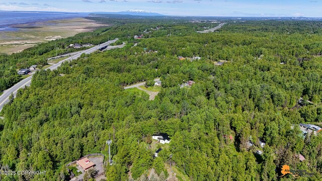 3151 E 151st Ave, Anchorage, AK 99516 - photo 18