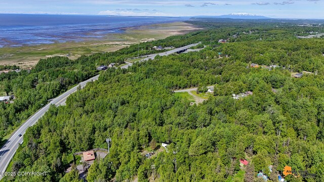 3151 E 151st Ave, Anchorage, AK 99516 - photo 19