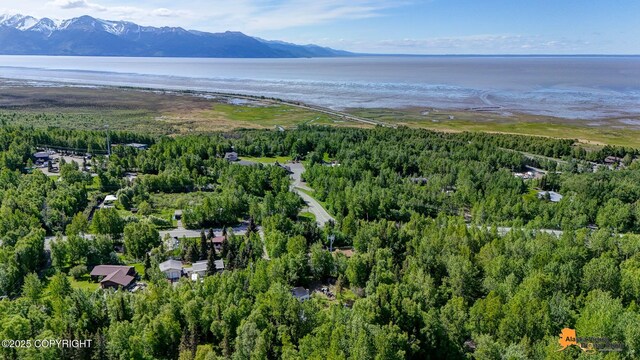 3151 E 151st Ave, Anchorage, AK 99516 - photo 20