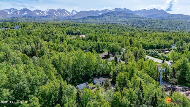 3151 E 151st Ave, Anchorage, AK 99516 - photo 23