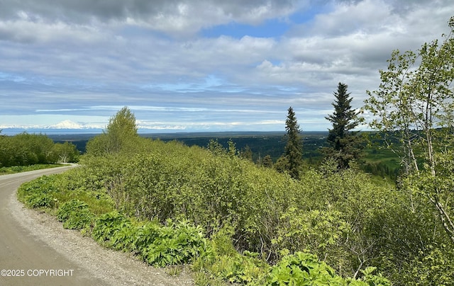 65310 Knob Hill Rd, Anchor Point, AK 99556