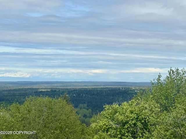 65310 Knob Hill Rd, Anchor Point, AK 99556
