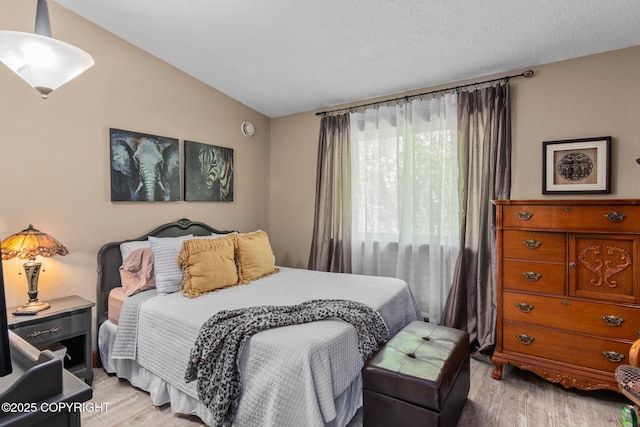 38686 Hart Ct, Soldotna, AK 99669 - bedroom with light wood-type flooring