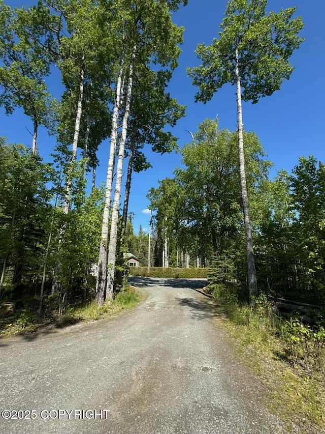 38686 Hart Ct, Soldotna, AK 99669 - view of asphalt road