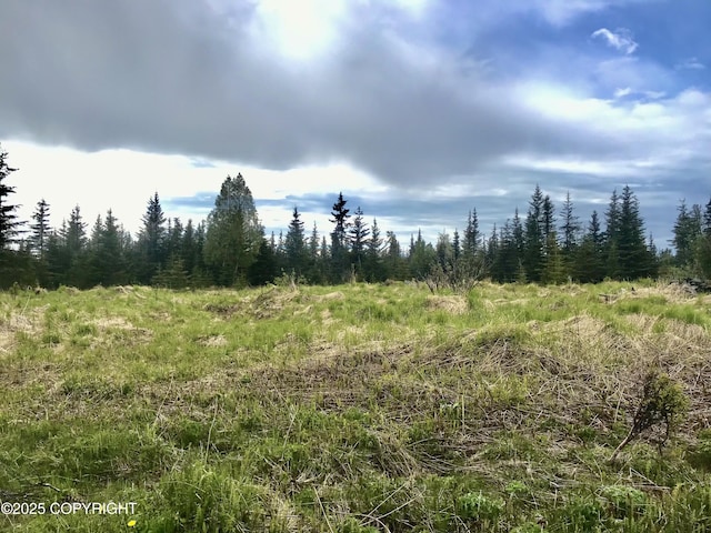 67212 Homestead Rd, Ninilchik, AK 99639 - photo 2