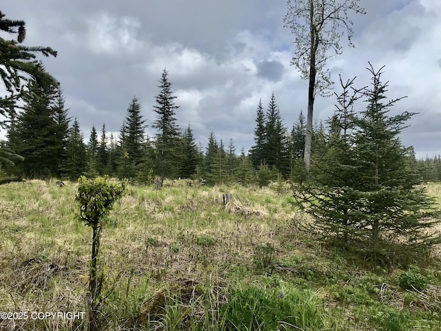 67212 Homestead Rd, Ninilchik, AK 99639 - photo 3