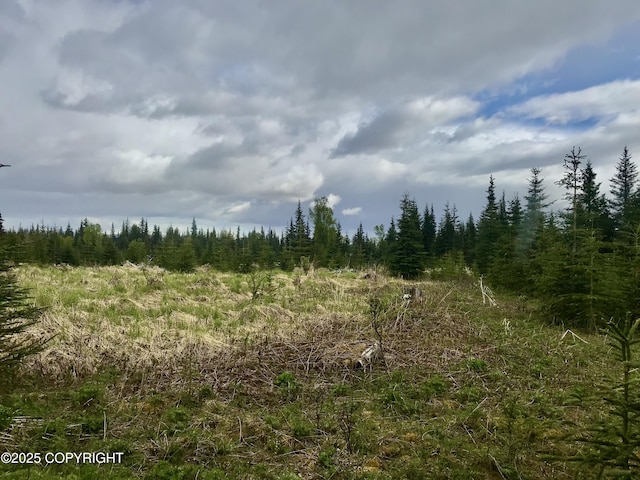 67212 Homestead Rd, Ninilchik, AK 99639 - photo 4