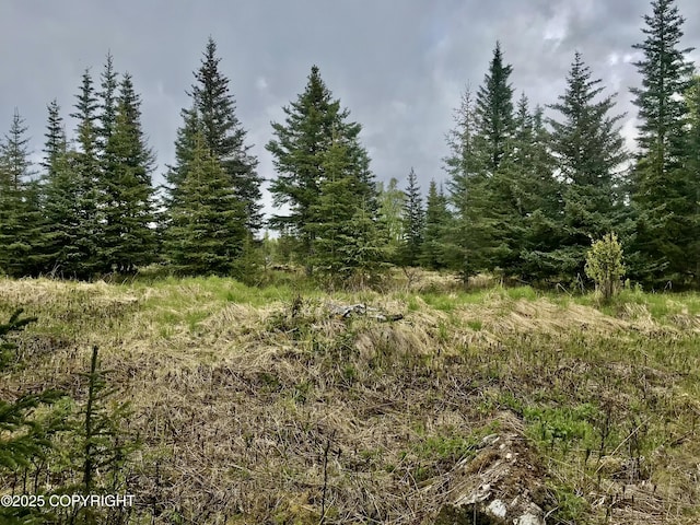67212 Homestead Rd, Ninilchik, AK 99639 - photo 5